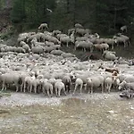 La Sauvaniere Menée