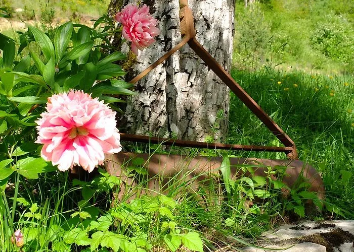 La Sauvaniere *